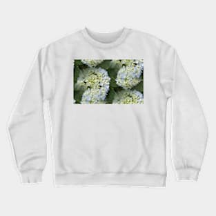 Pale Blue Hydrangea Crewneck Sweatshirt